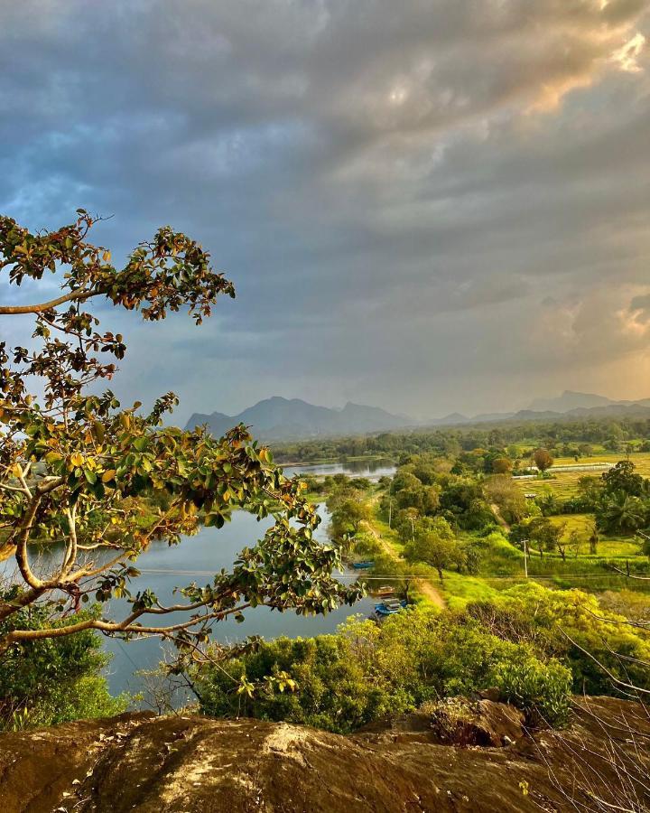 Grand Freedom Bed & Breakfast Sigiriya Exterior photo