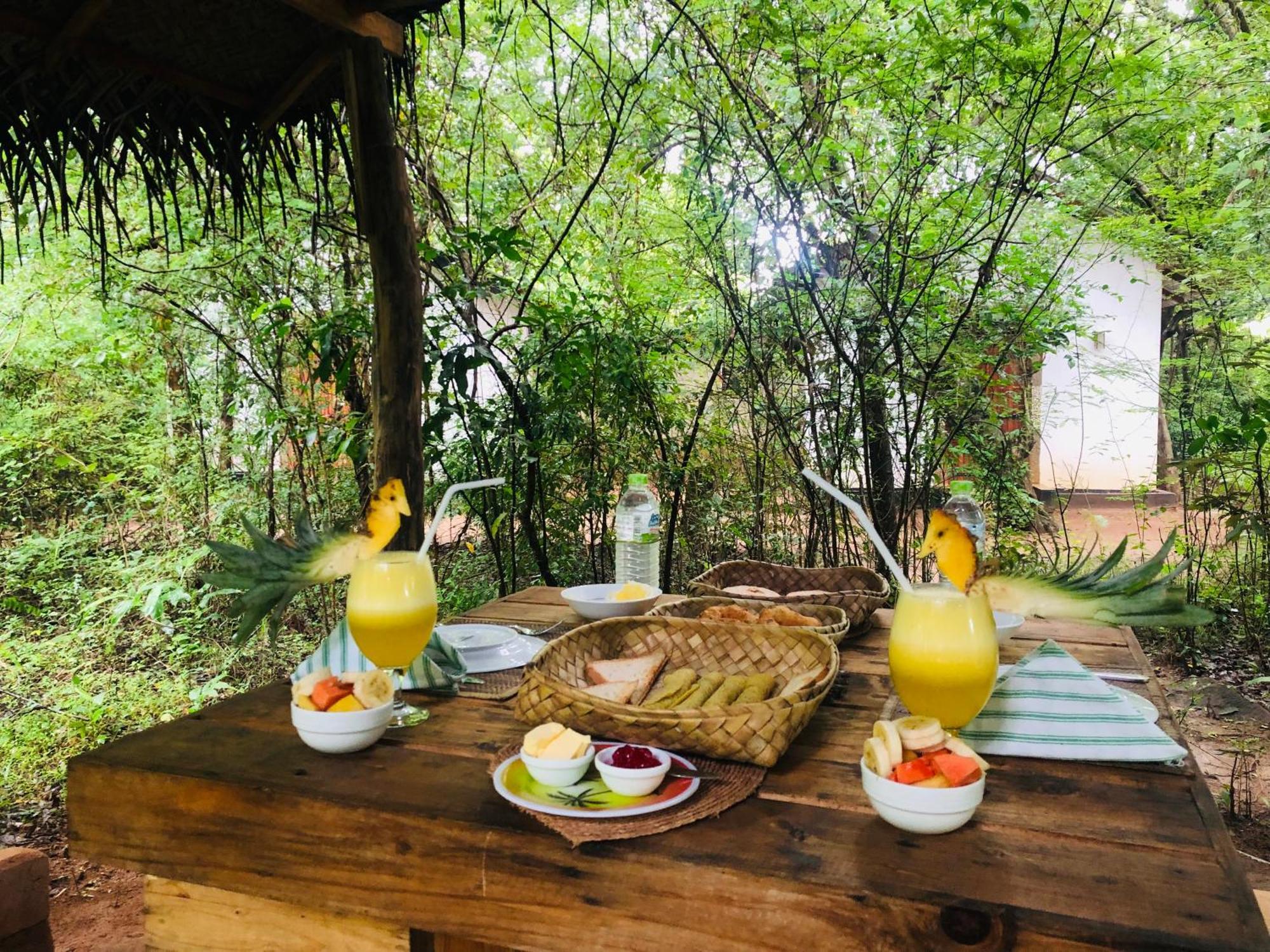 Grand Freedom Bed & Breakfast Sigiriya Exterior photo