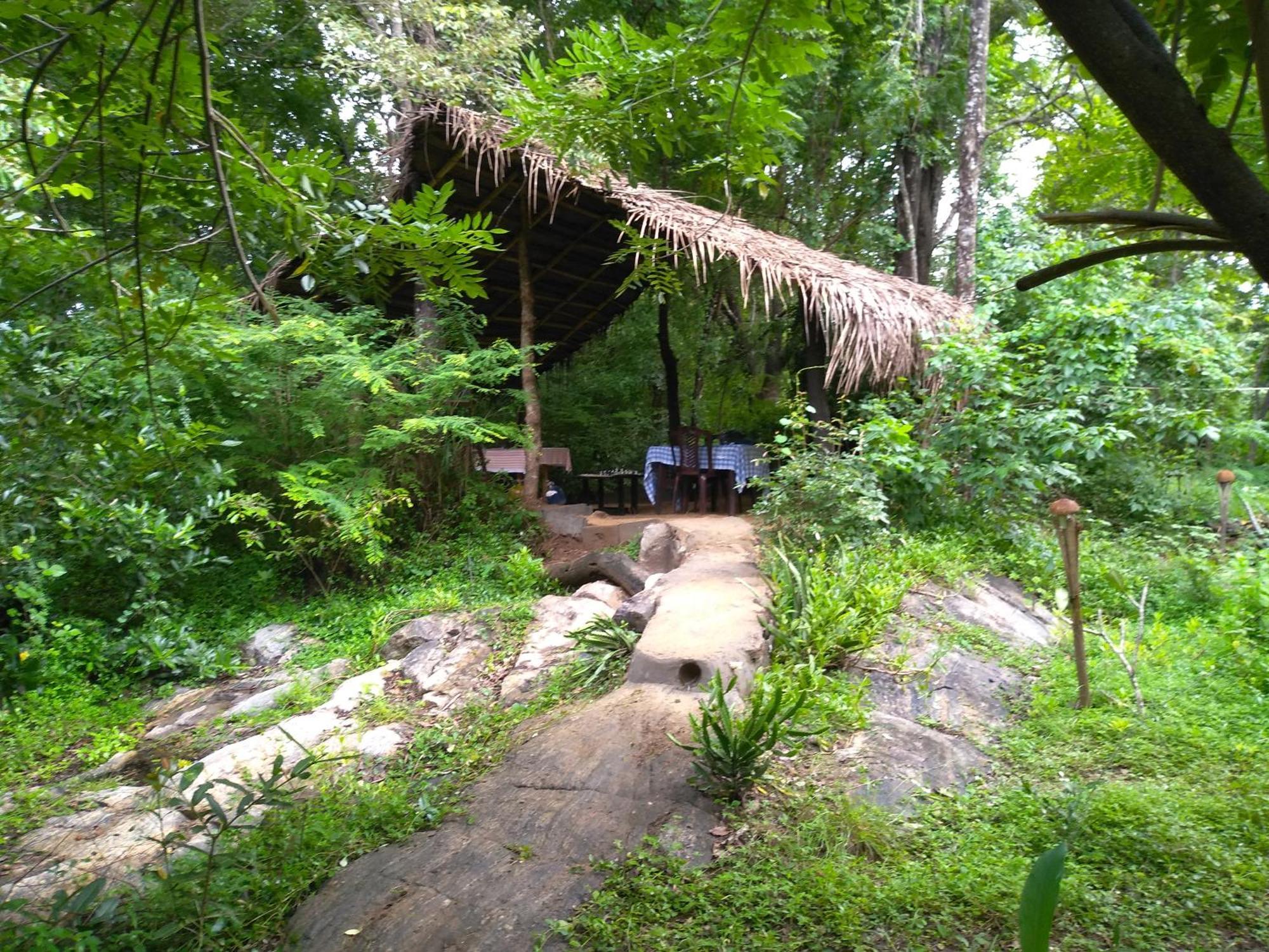 Grand Freedom Bed & Breakfast Sigiriya Room photo