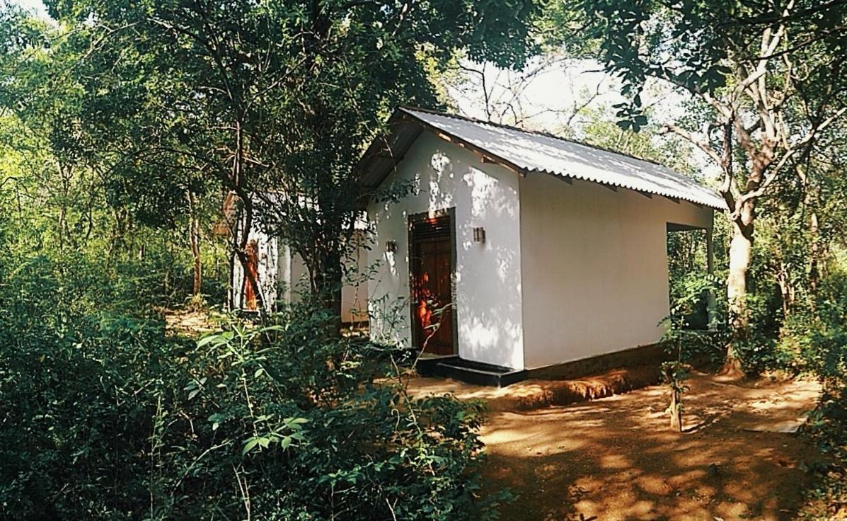 Grand Freedom Bed & Breakfast Sigiriya Exterior photo