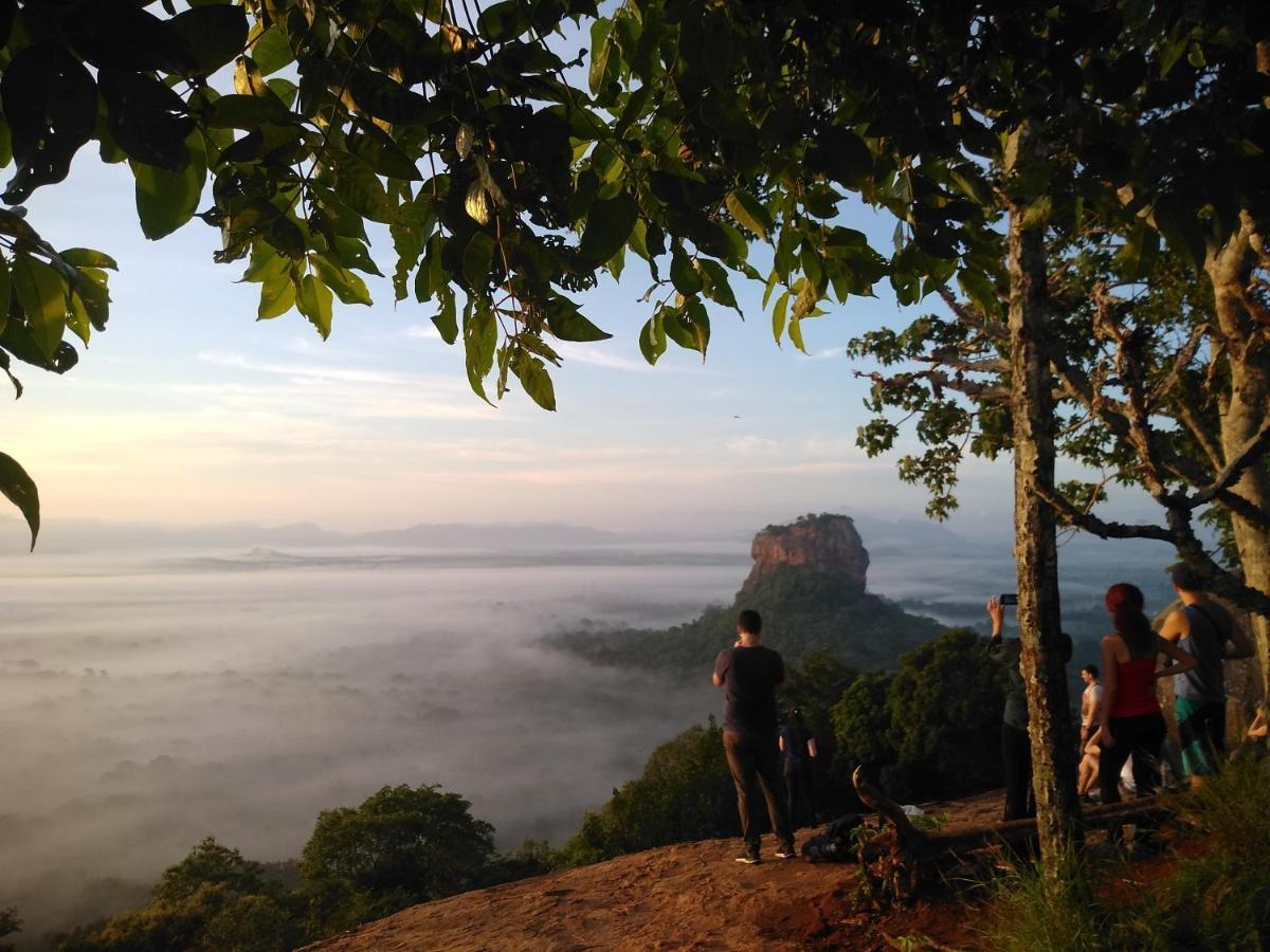 Grand Freedom Bed & Breakfast Sigiriya Exterior photo